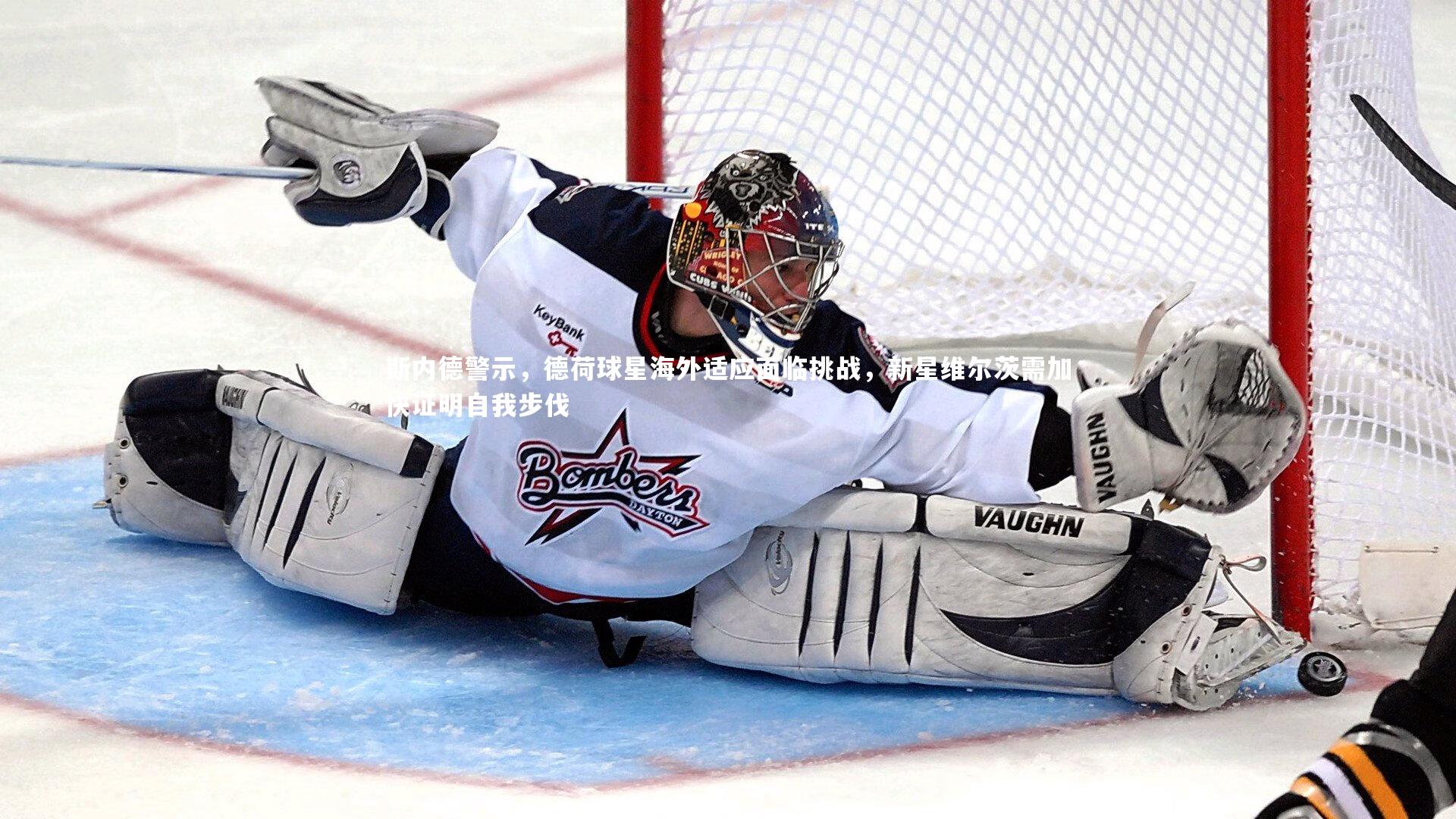 ng体育官方网站|斯内德警示，德荷球星海外适应面临挑战，新星维尔茨需加快证明自我步伐